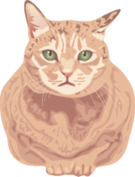 緑色の目の猫 緑色の目をした行儀のいい猫のイラスト