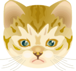 子猫 凛々しい顔つきの子猫のイラスト