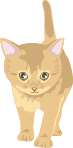 若い猫 いたずらの機会を狙っている若い猫のイラスト