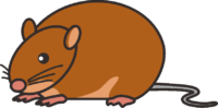 ネズミ じっと様子をうかがっているネズミのイラスト