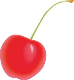 赤く売れたサクランボのイラスト
