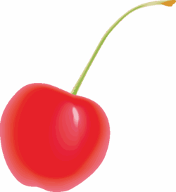 赤く売れたサクランボのイラスト