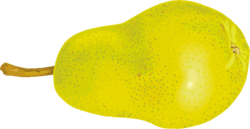西洋梨 緑黄色の西洋梨のイラスト画像