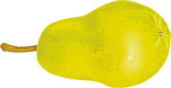 緑黄色の西洋梨のイラスト画像