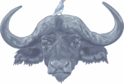水牛 頭に小鳥を乗せた水牛のイラスト