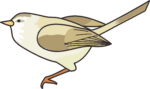 春の到来を告げるウグイスのイラスト