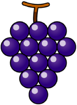 ブドウ