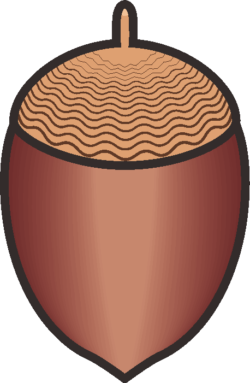 ドングリ ドングリの簡単なイラスト