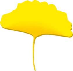 簡略なイチョウの葉 黄色いイチョウの葉のイラスト