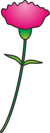 カーネーション