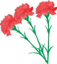 3本のカーネーションのイラスト