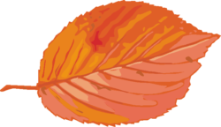 落葉 紅葉の落葉のイラスト