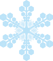 雪の結晶