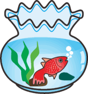 金魚