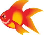金魚