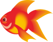金魚