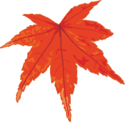 赤く紅葉したモミジのイラスト