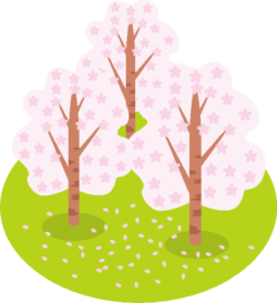 桜