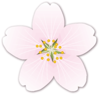 桜の花びら