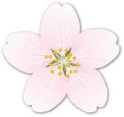 桜の花びら