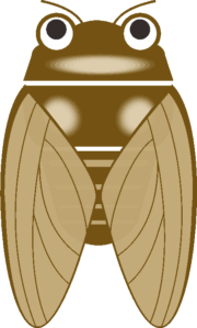 目が大きくてキャラっぽいセミのイラスト