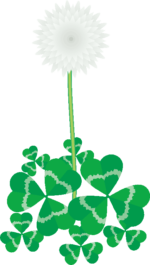 シロツメクサ クローバーと呼ばれているシロツメクサのイラスト