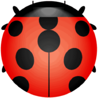 正円で描いたテントウムシのイラスト