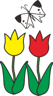 チューリップとモンシロチョウ チューリップの花に舞うモンシロチョウののイラスト