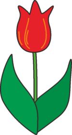 赤いチューリップ 赤いチューリップの素朴なイラスト