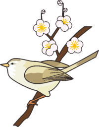 梅にウグイス 梅の枝にウグイスが止まっているイラスト