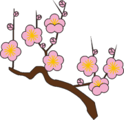 梅の木