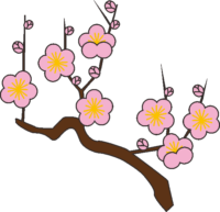 梅の木