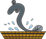 タライから飛び跳ねている威勢の良いウナギのイラスト