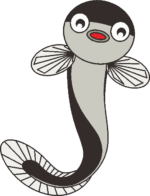 ウナギ