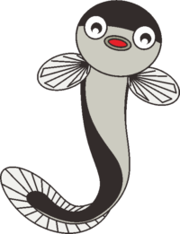 ウナギ