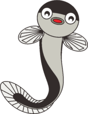 ウナギ