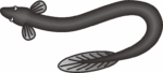 黒いウナギのイラスト