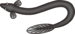 ウナギ 黒いウナギのイラスト
