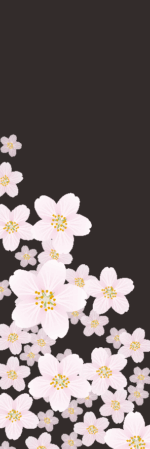 夜桜のイメージ