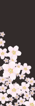 夜桜のイメージ