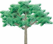 樹木のイラスト