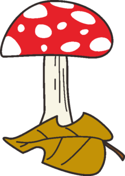 ベニテングタケ