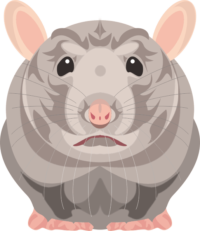 ネズミ 貫禄のあるネズミのイラスト画像