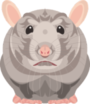 ネズミ 貫禄のあるネズミのイラスト画像
