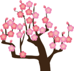 梅の花が咲いた 正月の縁起物である梅の花のイラスト