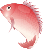 正月のめでたい縁起物である鯛のイラスト