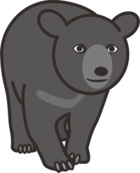 ツキノワグマ がっしりした体躯のツキノワグマのイラスト