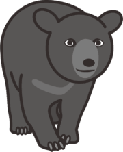 ツキノワグマ がっしりした体躯のツキノワグマのイラスト