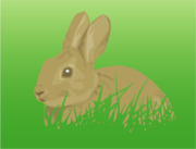 草むらに身を潜めている野ウサギのイラスト