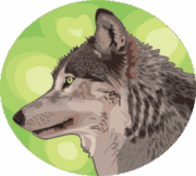 オオカミ 森の中のオオカミのイラスト